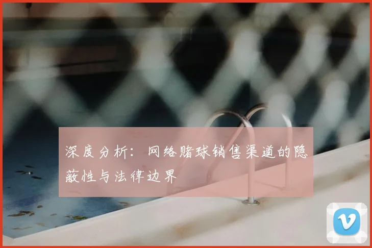 深度分析：网络赌球销售渠道的隐蔽性与法律边界