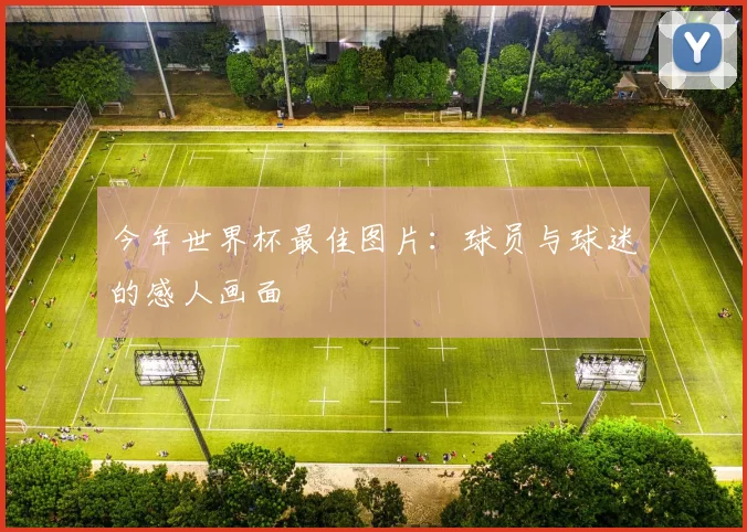 今年世界杯最佳图片：球员与球迷的感人画面