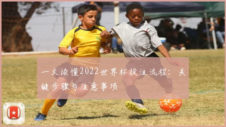 一文读懂2022世界杯投注流程：关键步骤与注意事项