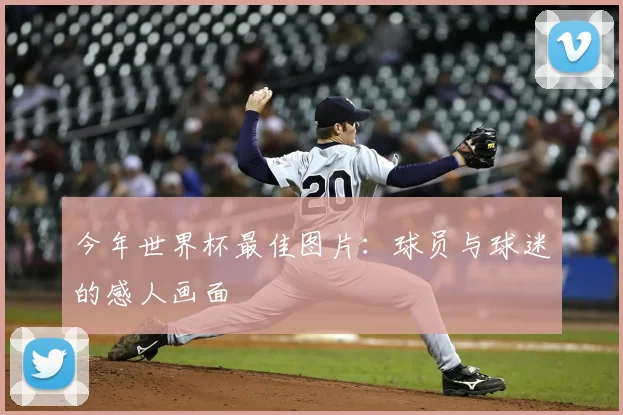 今年世界杯最佳图片：球员与球迷的感人画面