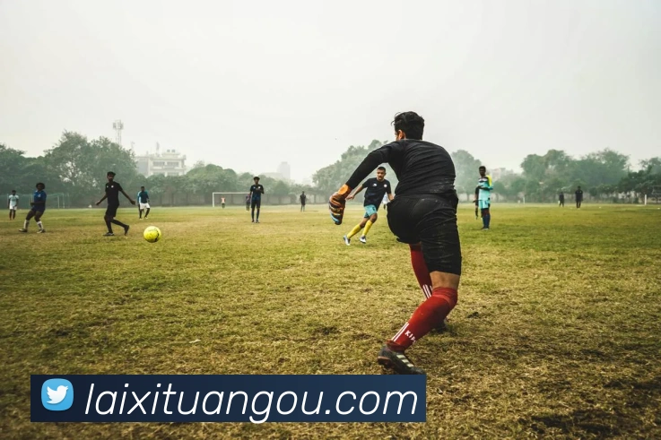 世界杯在线观看官网平台生态图